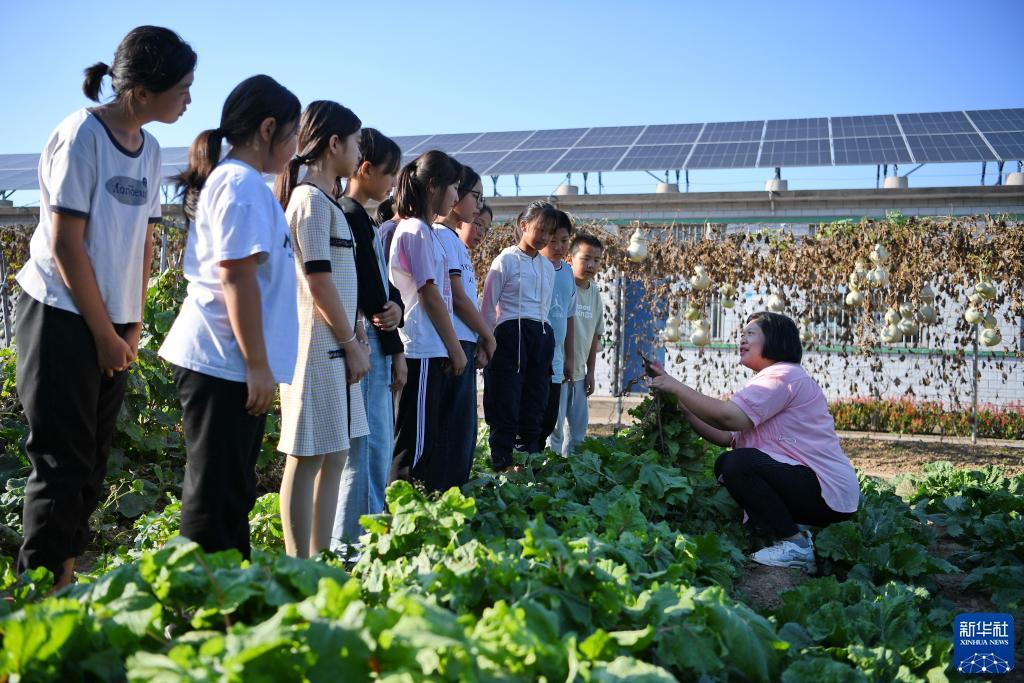澳门新匍京怎么下载